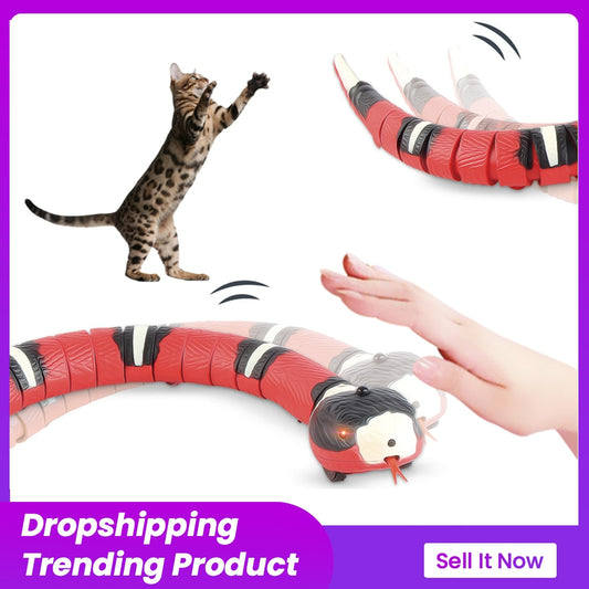 Cat or Dog Toy Interactive Smart Sensing Snake (USB RECHARGING) - DPKL Sales